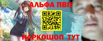 гашик Моздок