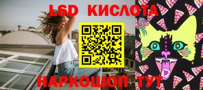 гашик Моздок
