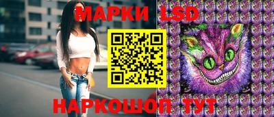 гашик Моздок