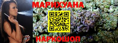 гашик Моздок