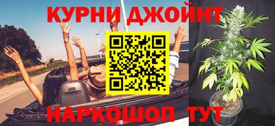 гашик Моздок