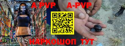 гашик Моздок