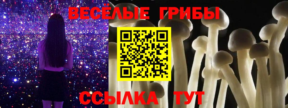 купить наркотик  Вход с VPN  Энгельс  Псилоцибиновые грибы прущие грибы 